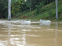 Clique na imagem para uma versão maior

Nome:	         DSC00649.jpg
Visualizações:	175
Tamanho: 	215,4 KB
ID:      	42844