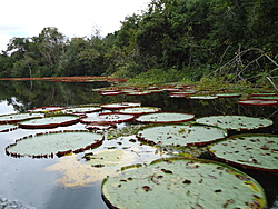 Clique na imagem para uma versão maior

Nome:	         DSC00658.jpg
Visualizações:	333
Tamanho: 	239,9 KB
ID:      	42849