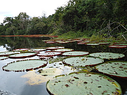 Clique na imagem para uma versão maior

Nome:	         DSC00658.jpg
Visualizações:	230
Tamanho: 	239,9 KB
ID:      	42849