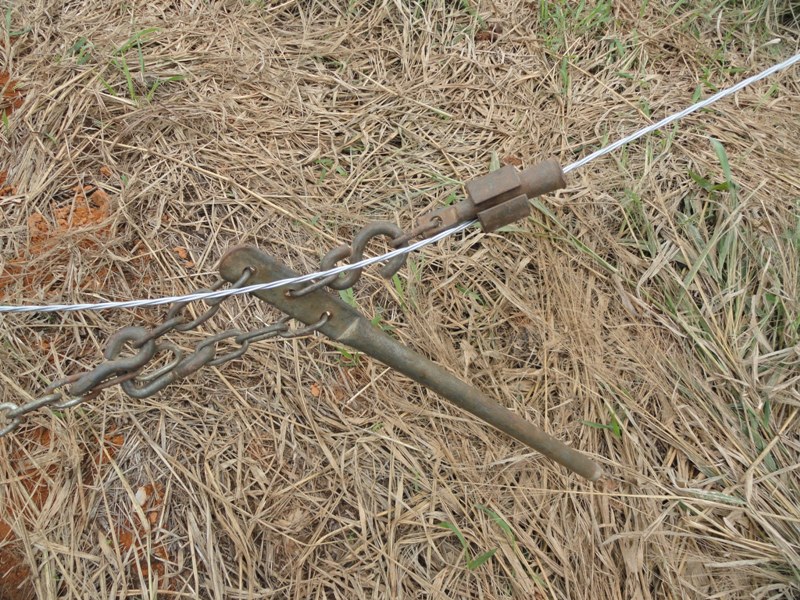 DSC05450