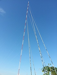 20130305 165623