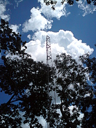 DSC03627