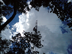 DSC03631