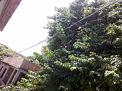 Clique na imagem para uma versão maior

Nome:	         IMG_20130326_130411.jpg
Visualizações:	259
Tamanho: 	335,9 KB
ID:      	43646