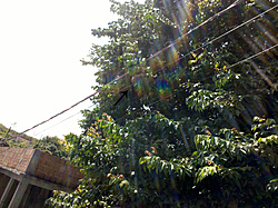 Clique na imagem para uma versão maior

Nome:	         IMG_20130326_130509.jpg
Visualizações:	265
Tamanho: 	288,8 KB
ID:      	43648
