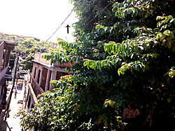 Clique na imagem para uma versão maior

Nome:	         IMG_20130326_130557.jpg
Visualizações:	309
Tamanho: 	349,9 KB
ID:      	43649