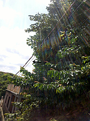 Clique na imagem para uma versão maior

Nome:	         IMG_20130326_130606.jpg
Visualizações:	238
Tamanho: 	168,5 KB
ID:      	43650