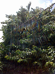 Clique na imagem para uma versão maior

Nome:	         IMG_20130326_130617.jpg
Visualizações:	225
Tamanho: 	182,5 KB
ID:      	43651