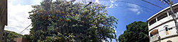 Clique na imagem para uma versão maior

Nome:	         PANO_20130326_130638.jpg
Visualizações:	278
Tamanho: 	122,8 KB
ID:      	43653
