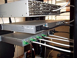 Sites Tronco