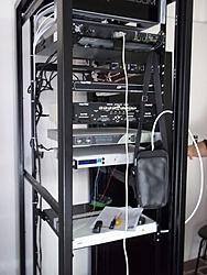 Sites Tronco