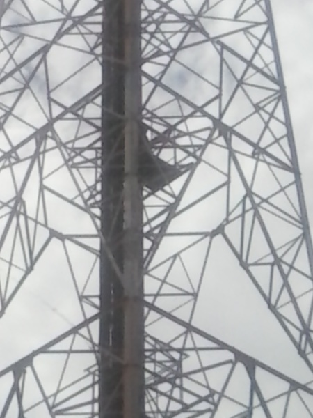 Galera as fotos estão meio ruis tirei na pressa com celular mais observem que ha crianças subindo na torre esta torre tem aproximadamente 60 metros e acreditem tinha crianças de cerca de 10 anos no topo da mesma!