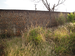 DSC02524