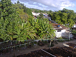 Foto0269