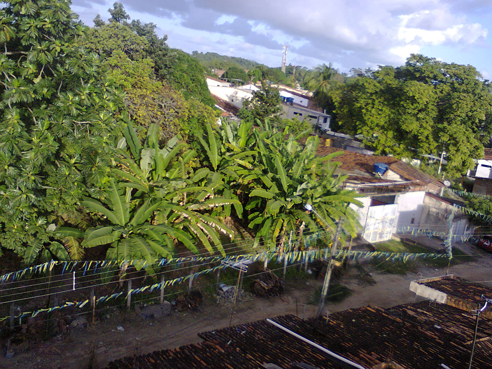 Foto0269