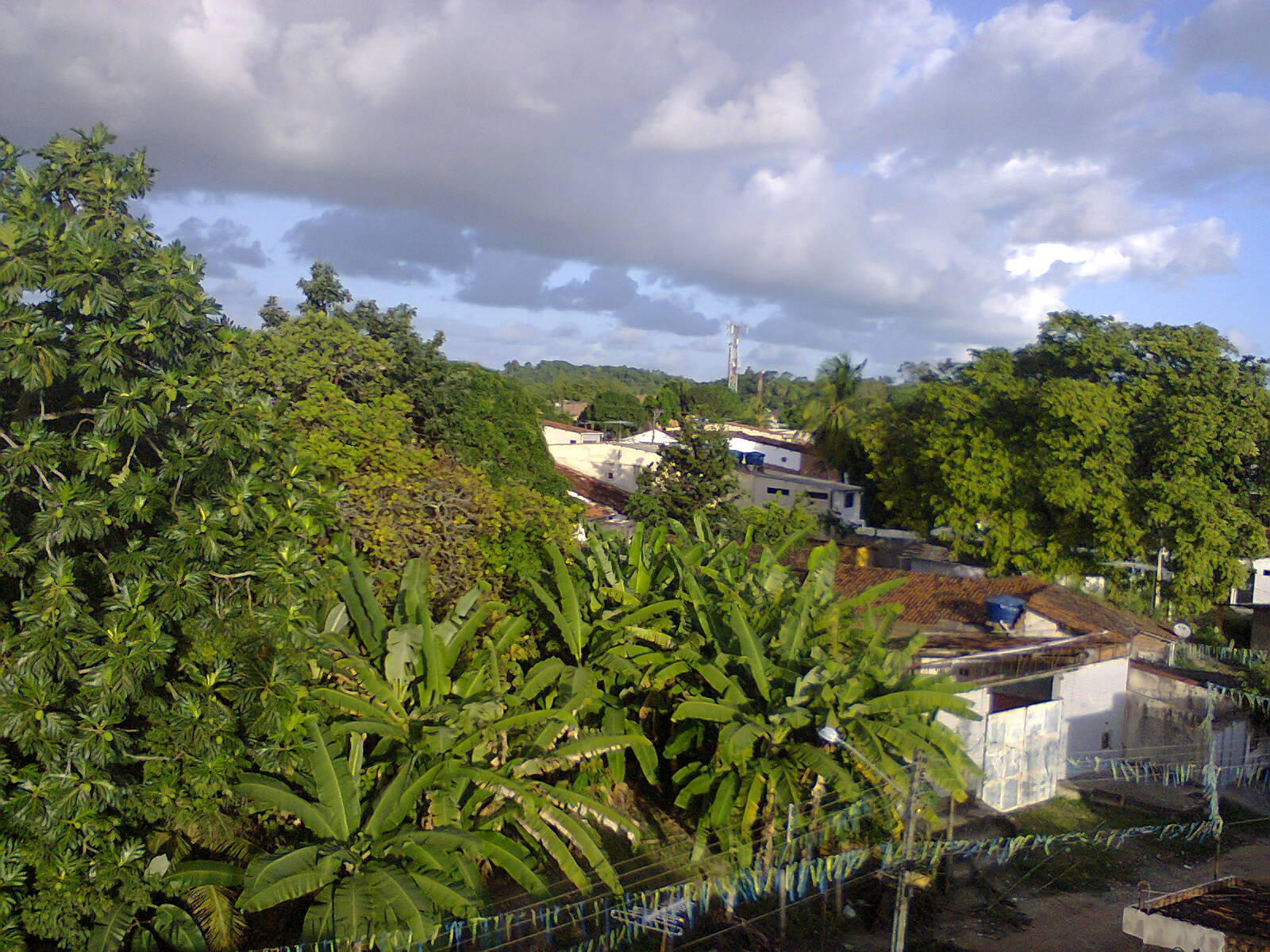 Foto0271