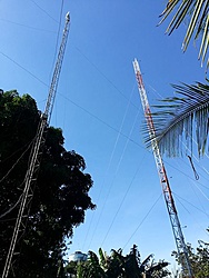 Palasi Telecom a Mil !!! :D