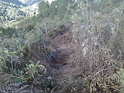 IMG00449