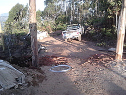 IMG00495
