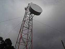 IMG00367