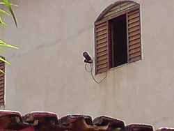 Clique na imagem para uma versão maior

Nome:	         DSC00043.JPG
Visualizações:	319
Tamanho: 	1,36 MB
ID:      	5716