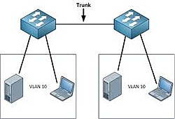 Clique na imagem para uma versão maior

Nome:	         Portas trunk.jpg
Visualizações:	133
Tamanho: 	6,5 KB
ID:      	59346