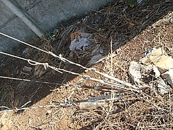 Clique na imagem para uma versão maior

Nome:	         DSC03735.JPG
Visualizações:	1506
Tamanho: 	161,3 KB
ID:      	60046