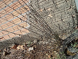 Clique na imagem para uma versão maior

Nome:	         DSC03736.JPG
Visualizações:	852
Tamanho: 	194,6 KB
ID:      	60047