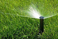 Clique na imagem para uma versão maior

Nome:	         sprinkler1_mini.jpg
Visualizações:	259
Tamanho: 	805,2 KB
ID:      	61141