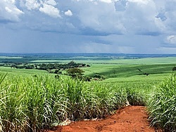 Clique na imagem para uma versão maior

Nome:	         panoramio.jpg
Visualizações:	158
Tamanho: 	87,0 KB
ID:      	61365