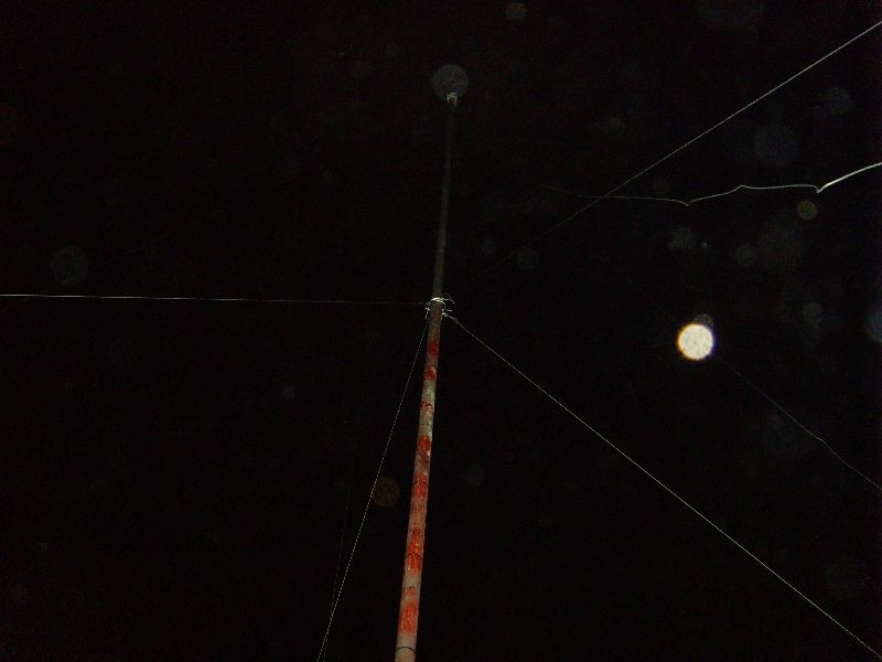 SNV30429