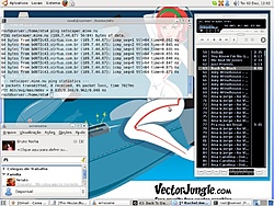 Ubuntu 8.10 
DHCP Server...