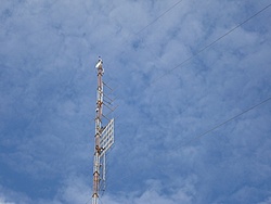 ANTENA PLUTON PTX 44 KM ENLACE