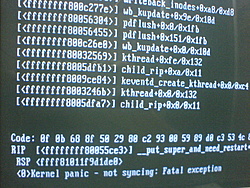 oops.. kernel panic.. postei...