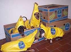 bananas !!