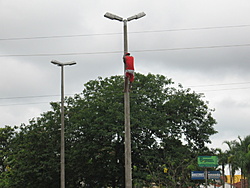 IMG 1181