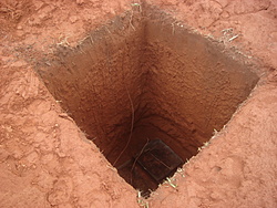 Clique na imagem para uma versão maior

Nome:	         DSC02796.JPG
Visualizações:	242
Tamanho: 	121,6 KB
ID:      	69971