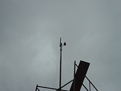 SNV30561