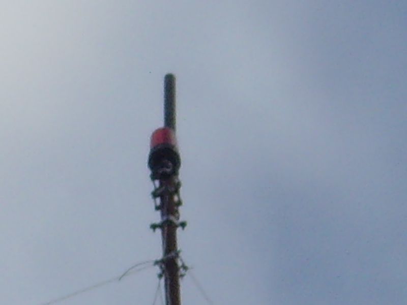SNV30565