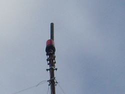 SNV30565