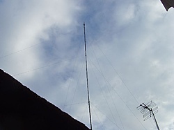 SNV30567