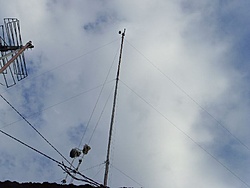 SNV30568