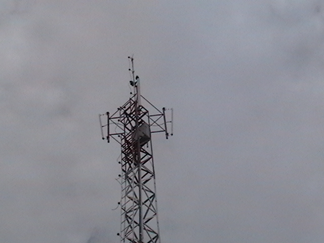 IMGA0626