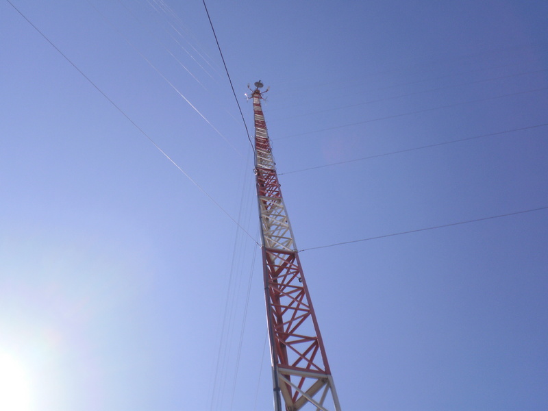P8050476