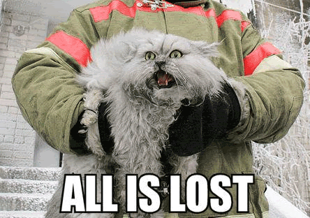 All Is Lost Cat