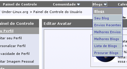 Acessando seu Blog.