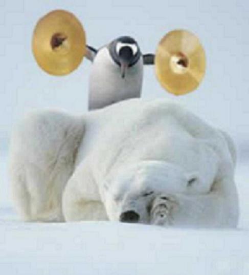 Clique na imagem para uma versão maior

Nome:	         penguin-bear-snow-white.jpg
Visualizações:	1734
Tamanho: 	17,6 KB
ID:      	8422