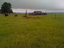 IMG 0137[1]