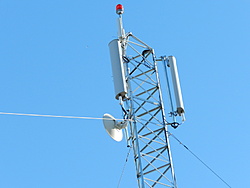 Torre D Network
