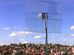 Antena ptp